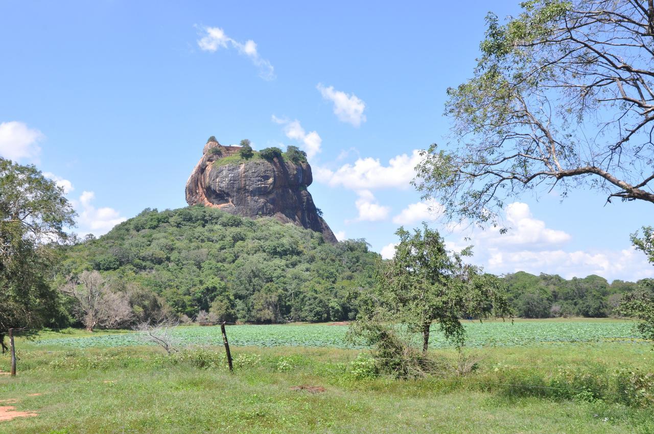 Lathika Homes Sigiriya Eksteriør billede